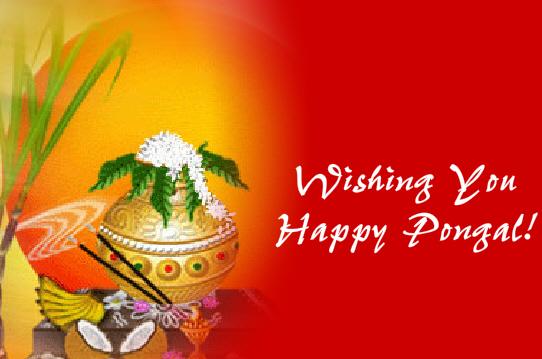 Greeting Cards For Lohri. Sankranthi Greetings:  you